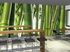 фото отеля Bonnox Boardinghouse & Hotel