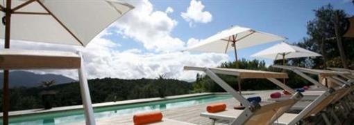 фото отеля Hog Hollow Country Lodge Plettenberg Bay