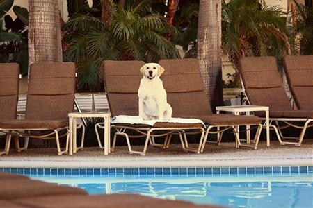 фото отеля Hilton Waterfront Beach Resort