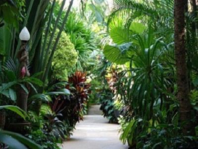 фото отеля White House Beach Resort And Spa Koh Samui