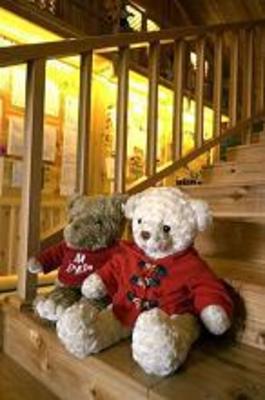 фото отеля Teddy Bear Hotel