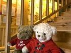 фото отеля Teddy Bear Hotel