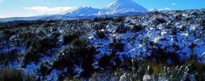 фото отеля Skotel Alpine Resort