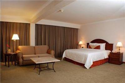 фото отеля Hilton Garden Inn Monterrey