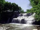 фото отеля Hampton Inn Buffalo Williamsville