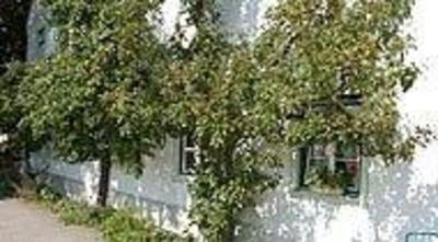 фото отеля Horger Biohotel und Tafernwirtschaft Kranzberg