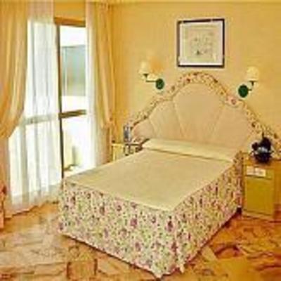 фото отеля Royal Marbella Playa