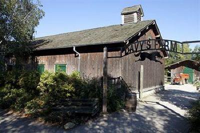 фото отеля Disney's Davy Crockett Ranch