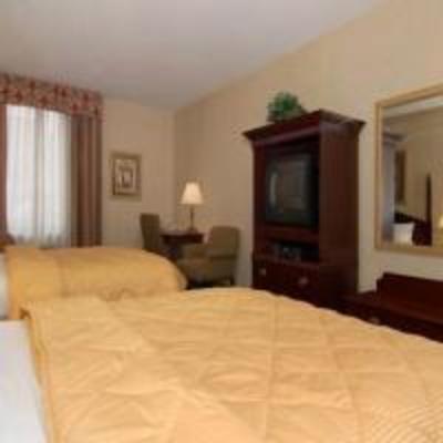 фото отеля Comfort Inn Downtown Memphis