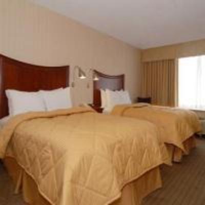 фото отеля Comfort Inn Downtown Memphis