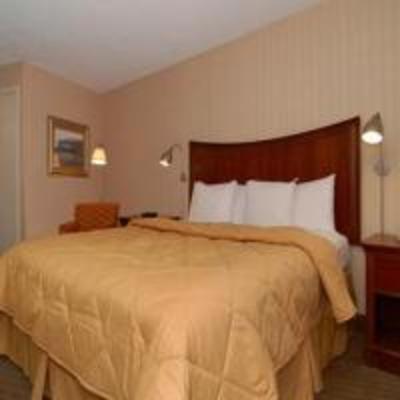 фото отеля Comfort Inn Downtown Memphis