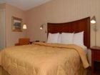 фото отеля Comfort Inn Downtown Memphis