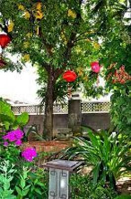 фото отеля Botanic Garden Homestay