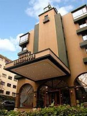 фото отеля Hotel Torremayor