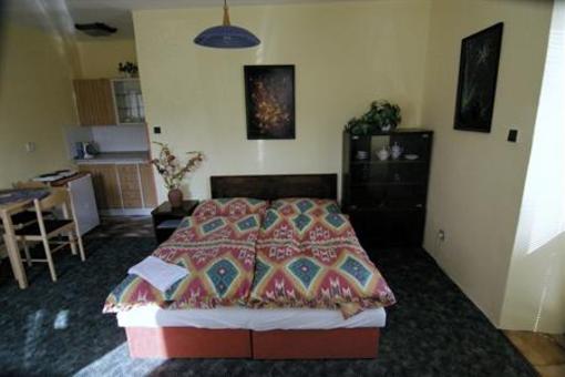 фото отеля Pension Chlumec