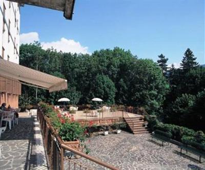 фото отеля Hotel Pineta
