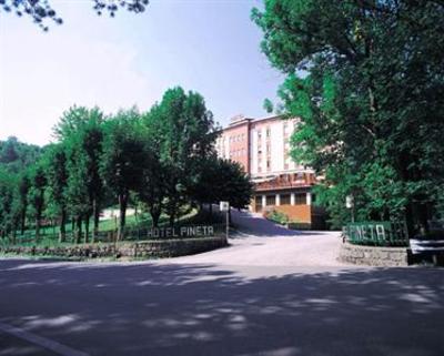 фото отеля Hotel Pineta