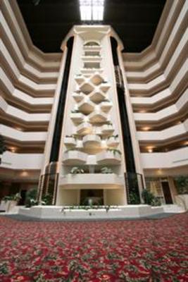 фото отеля Holiday Inn Rapid City - Rushmore Plaza