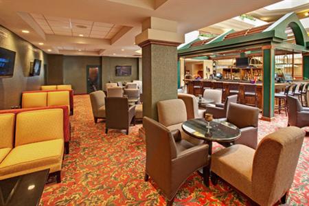 фото отеля Holiday Inn Rapid City - Rushmore Plaza