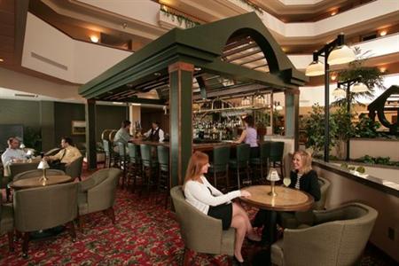 фото отеля Holiday Inn Rapid City - Rushmore Plaza