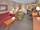 фото отеля Holiday Inn Rapid City - Rushmore Plaza