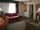 фото отеля Holiday Inn Rapid City - Rushmore Plaza