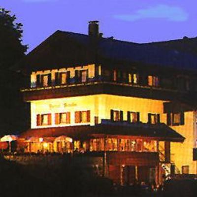 фото отеля Ferienhotel Baumgartner Konzell