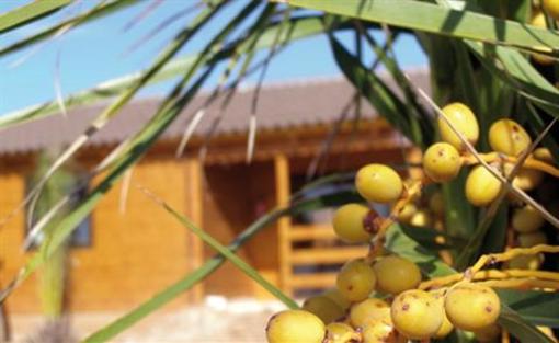 фото отеля Camping Ribamar Alcala de Xivert