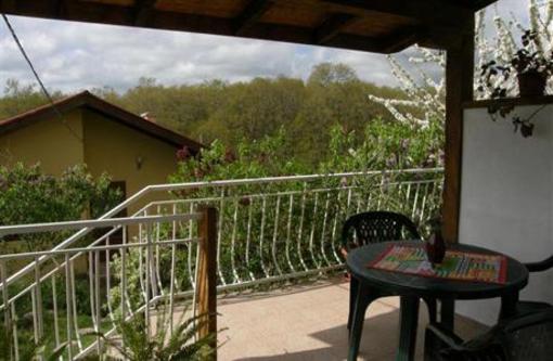 фото отеля Villa Fanny Sinemoretz