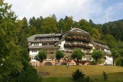 фото отеля Hotel Ochsenwirtshof Bad Rippoldsau-Schapbach