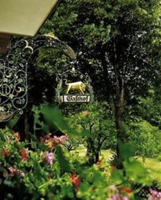 фото отеля Hotel Ochsenwirtshof Bad Rippoldsau-Schapbach