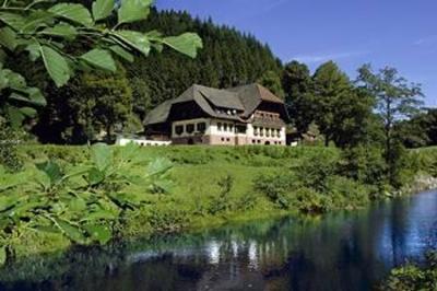 фото отеля Hotel Ochsenwirtshof Bad Rippoldsau-Schapbach