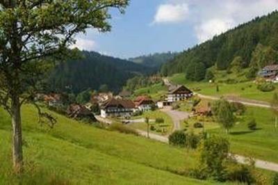 фото отеля Hotel Ochsenwirtshof Bad Rippoldsau-Schapbach