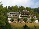 фото отеля Hotel Ochsenwirtshof Bad Rippoldsau-Schapbach