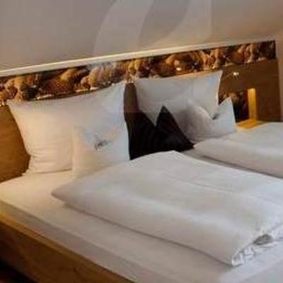 фото отеля Landhotel Postwirt