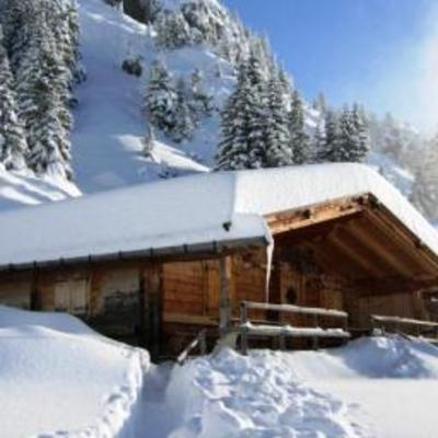 фото отеля Eberler Dani's Ziegenhof Apartments Mayrhofen