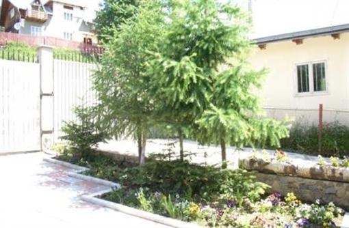 фото отеля Pension Lucia Bucovina Vama