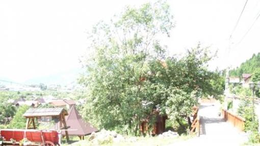 фото отеля Pension Lucia Bucovina Vama