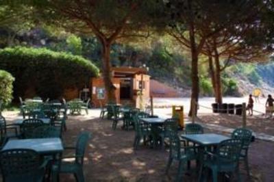 фото отеля Pola Camping Tossa De MAr