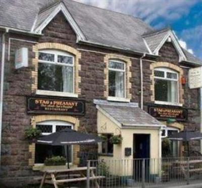 фото отеля The Stag & Pheasant Inn Llanelli