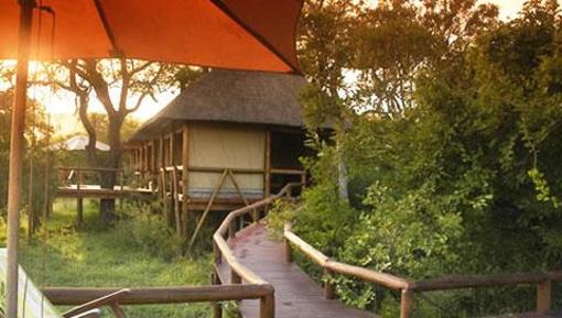 фото отеля Camp Shonga Komatipoort