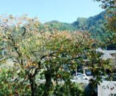 фото отеля Yasekamaburo Onsen Furusato