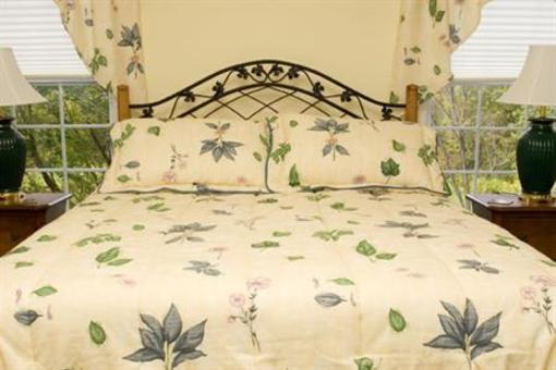 фото отеля Silver Service Inn Bed & Breakfast