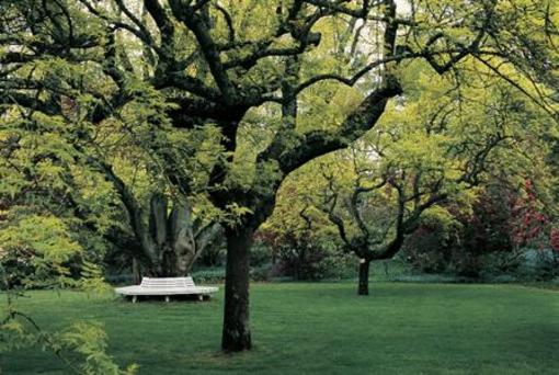 фото отеля Milton Park Country House Hotel & Destination Spa