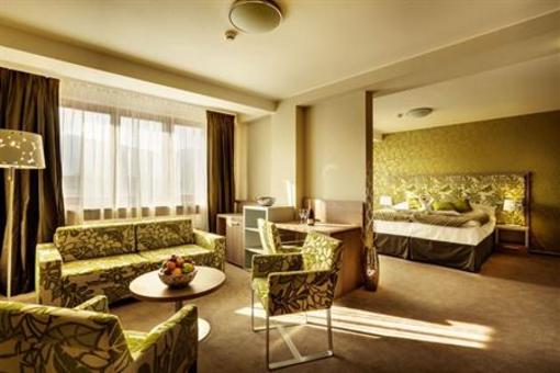 фото отеля Wellness Hotel Bystra