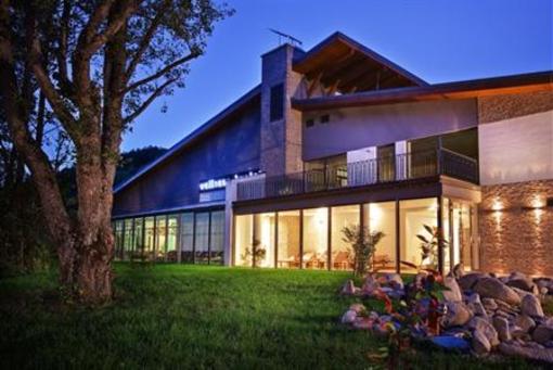 фото отеля Wellness Hotel Bystra