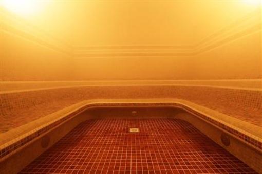 фото отеля Wellness Hotel Bystra