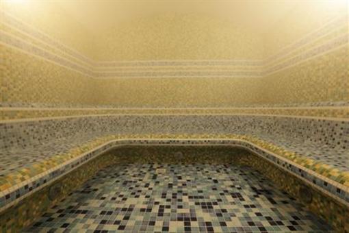 фото отеля Wellness Hotel Bystra