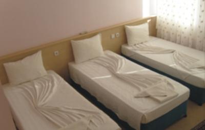 фото отеля Artemis Hotel Selcuk