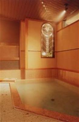 фото отеля Shima Onsen Kashiwaya Ryokan